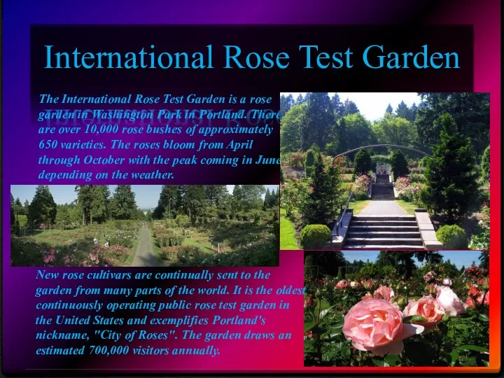 International Rose Test Garden The International Rose Test Garden is