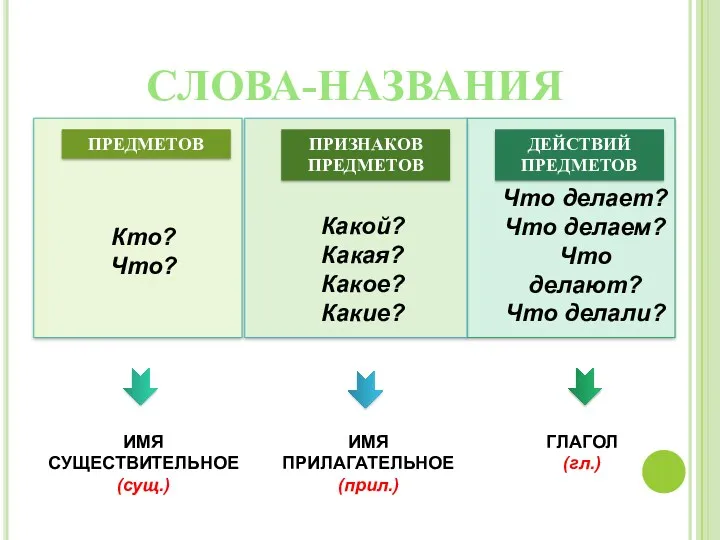 СЛОВА-НАЗВАНИЯ ПРЕДМЕТОВ ПРИЗНАКОВ ПРЕДМЕТОВ ДЕЙСТВИЙ ПРЕДМЕТОВ Кто? Что? Какой? Какая?