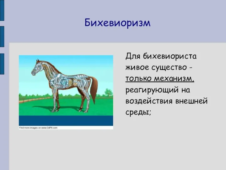 Бихевиоризм Для бихевиориста живое существо - только механизм, реагирующий на воздействия внешней среды;