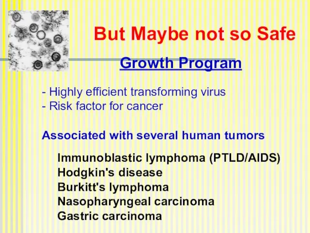 But Maybe not so Safe Growth Program - Highly efficient transforming virus -