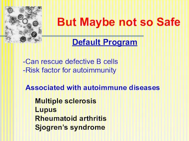 But Maybe not so Safe Default Program Can rescue defective B cells Risk