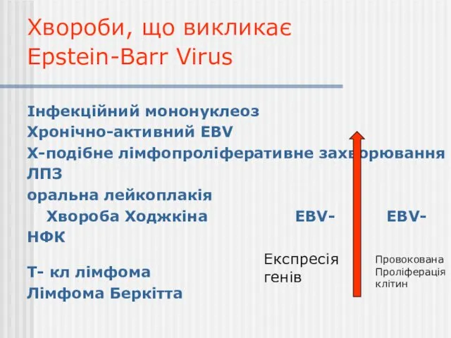 Хвороби, що викликає Epstein-Barr Virus Інфекційний мононуклеоз Хронічно-активний EBV X-подібне лімфопроліферативне захворювання ЛПЗ