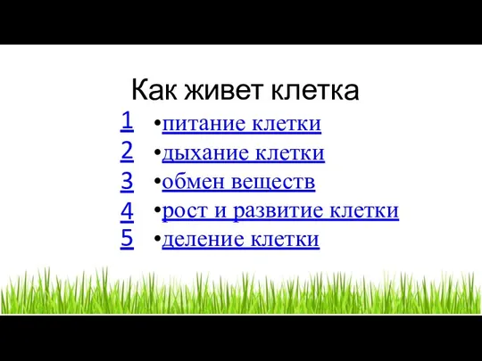 Как живет клетка питание клетки дыхание клетки обмен веществ рост и развитие клетки