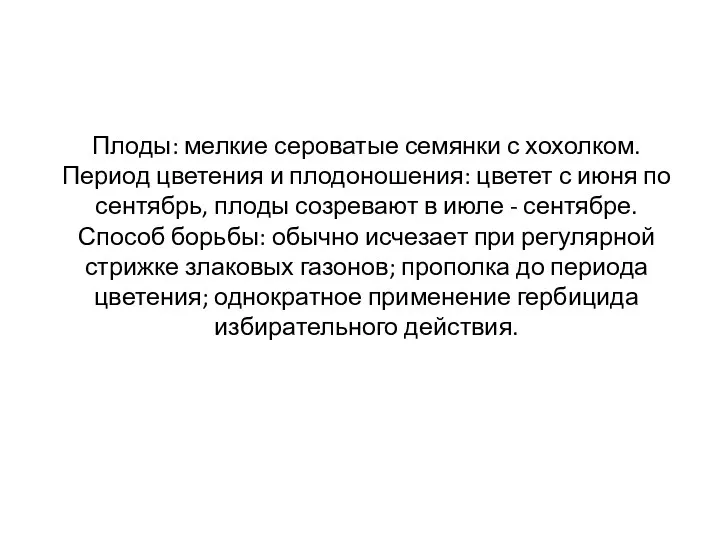 Плоды: мелкие сероватые семянки с хохолком. Период цветения и плодоношения: