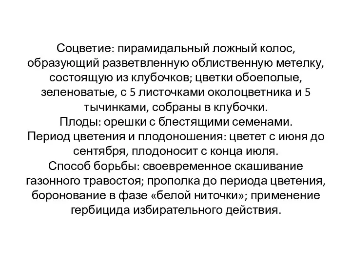 Соцветие: пирамидальный ложный колос, образующий разветвленную облиственную метелку, состоящую из