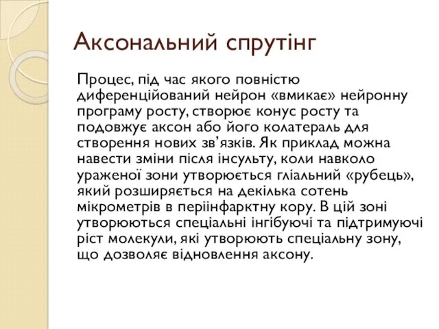 Аксональний спрутінг Процес, під час якого повністю диференційований нейрон «вмикає»