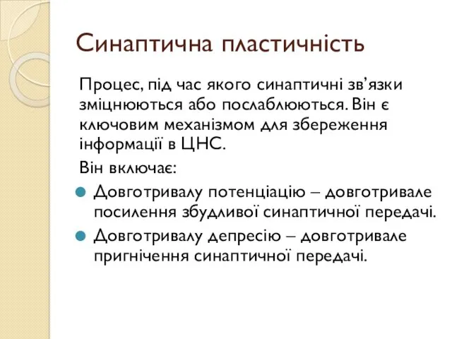 Синаптична пластичність Процес, під час якого синаптичні зв’язки зміцнюються або