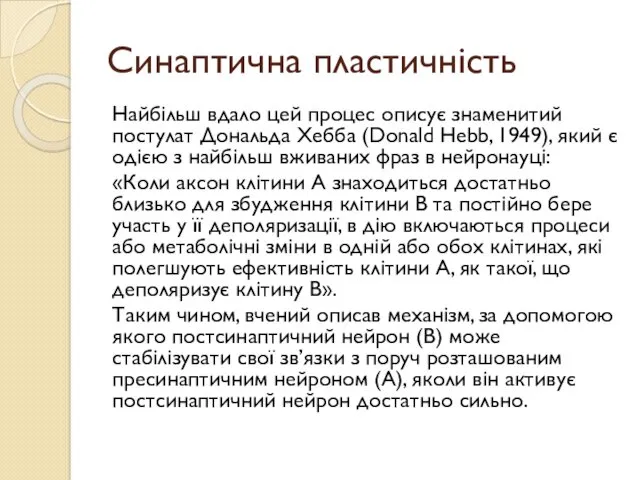 Синаптична пластичність Найбільш вдало цей процес описує знаменитий постулат Дональда