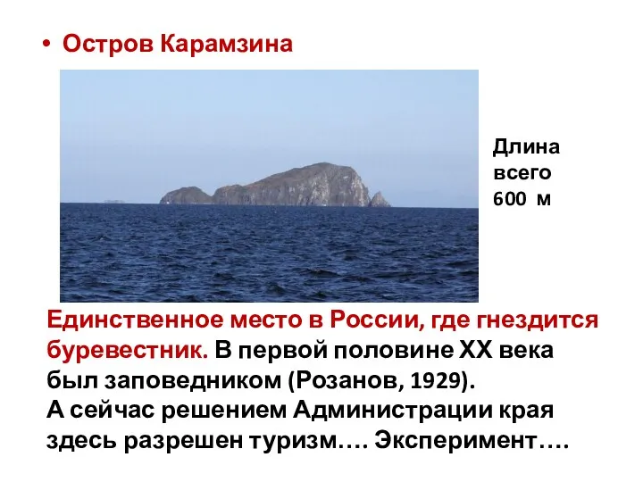 Остров Карамзина Длина всего 600 м Единственное место в России,