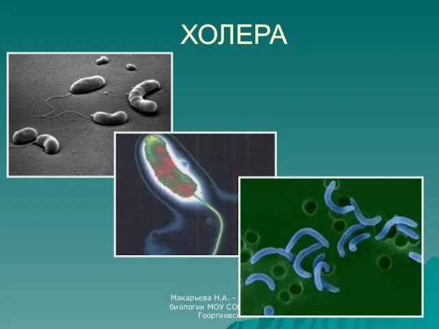 Макарьева Н.А. - учитель биологии МОУ СОШ №1 г.Георгиевск ХОЛЕРА