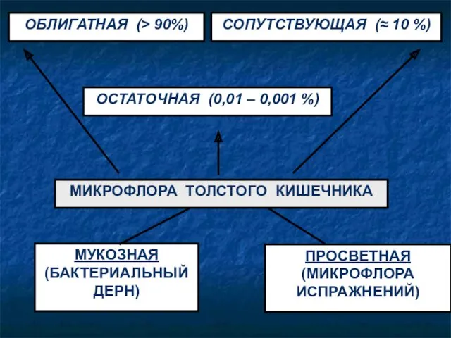 ПРОСВЕТНАЯ (МИКРОФЛОРА ИСПРАЖНЕНИЙ) МУКОЗНАЯ (БАКТЕРИАЛЬНЫЙ ДЕРН) МИКРОФЛОРА ТОЛСТОГО КИШЕЧНИКА ОСТАТОЧНАЯ (0,01 – 0,001