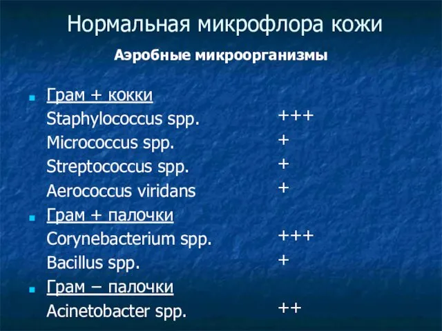 Нормальная микрофлора кожи Грам + кокки Staphylococcus spp. Micrococcus spp.