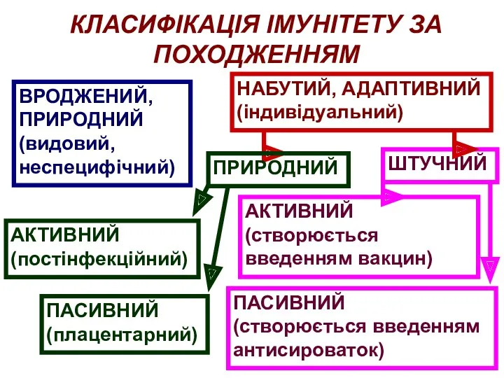 КЛАСИФІКАЦІЯ ІМУНІТЕТУ ЗА ПОХОДЖЕННЯМ ВРОДЖЕНИЙ, ПРИРОДНИЙ (видовий, неспецифічний) НАБУТИЙ, АДАПТИВНИЙ