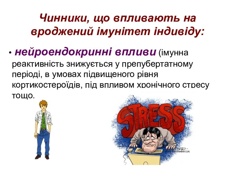 Чинники, що впливають на вроджений імунітет індивіду: нейроендокринні впливи (імунна