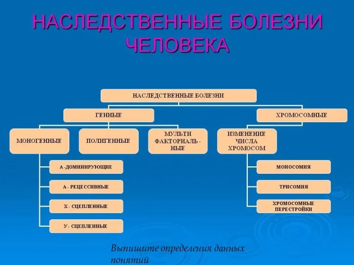 Виды наследственной патологии Выпишите определения данных понятий