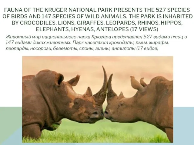 FAUNA OF THE KRUGER NATIONAL PARK PRESENTS THE 527 SPECIES