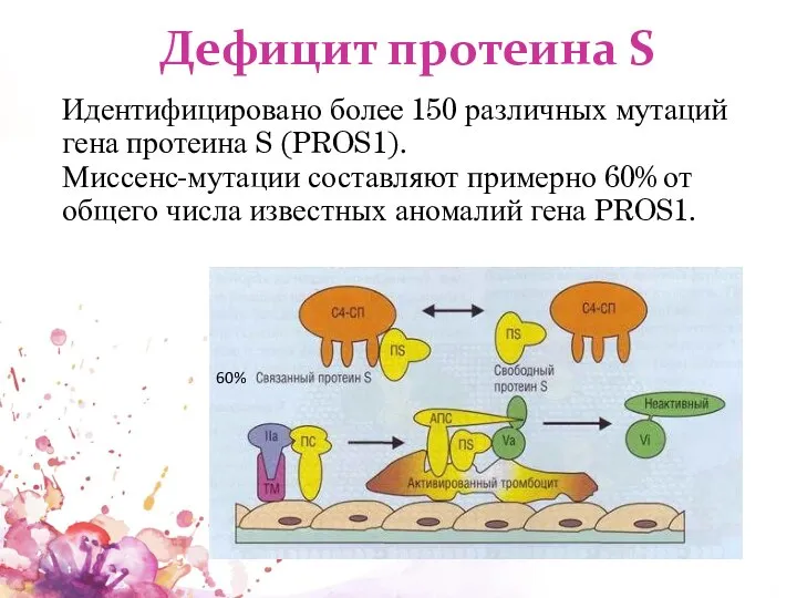 Дефицит протеина S Идентифицировано более 150 различных мутаций гена протеина S (PROS1). Миссенс-мутации