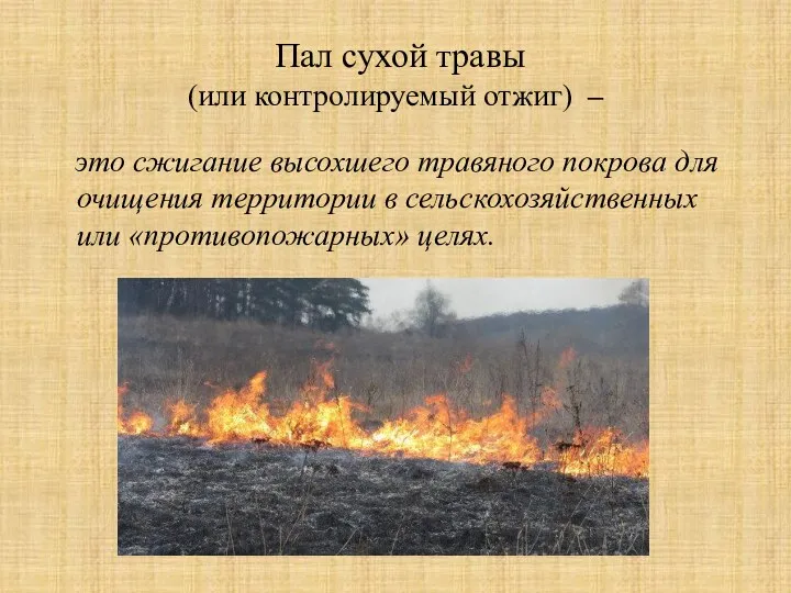 Пал сухой травы (или контролируемый отжиг) – это сжигание высохшего