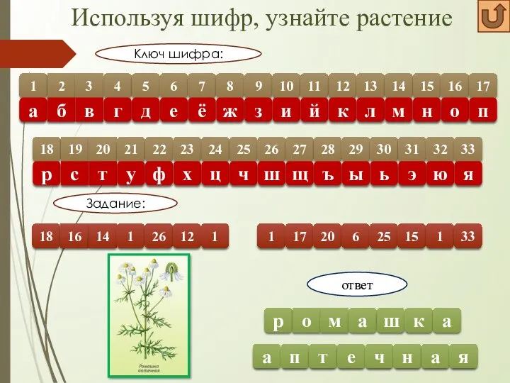 Используя шифр, узнайте растение 1 2 3 4 5 6 7 8 9