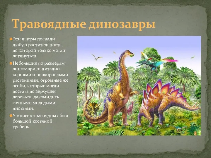 Травоядные динозавры Эти ящеры поедали любую растительность, до которой только