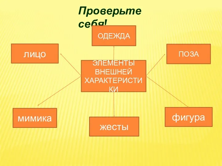 Проверьте себя! ЭЛЕМЕНТЫ ВНЕШНЕЙ ХАРАКТЕРИСТИКИ лицо ОДЕЖДА ПОЗА мимика жесты фигура