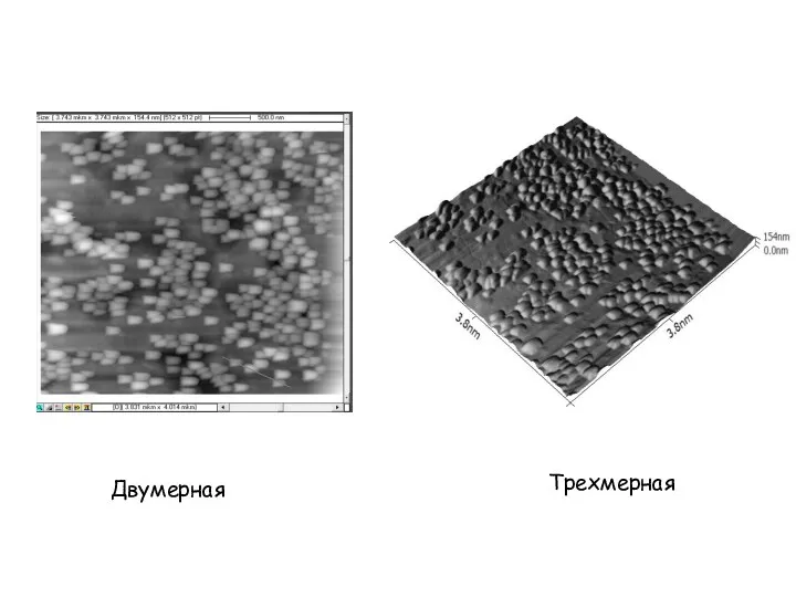 Трехмерная Двумерная