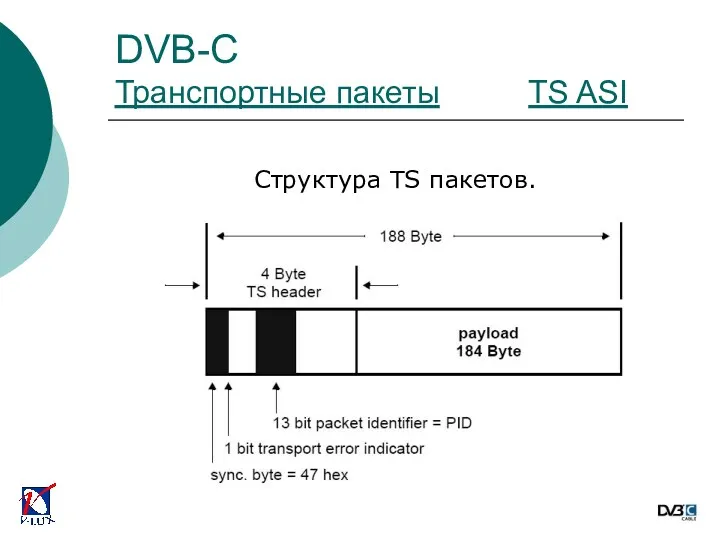 Структура TS пакетов. DVB-C Транспортные пакеты TS ASI