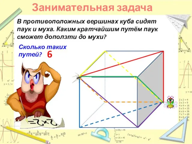 В противоположных вершинах куба сидят паук и муха. Каким кратчайшим