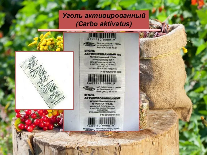 Уголь активированный (Carbo aktivatus)