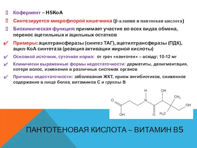 ПАНТОТЕНОВАЯ КИСЛОТА – ВИТАМИН В5 Кофермент – HSKoA Синтезируется микрофлорой