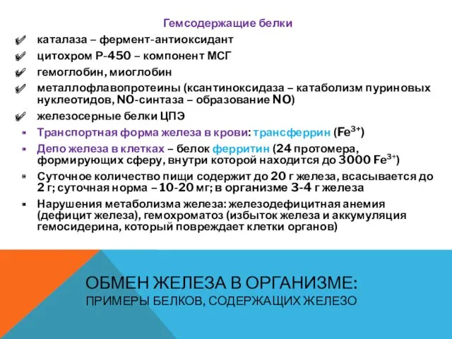 ОБМЕН ЖЕЛЕЗА В ОРГАНИЗМЕ: ПРИМЕРЫ БЕЛКОВ, СОДЕРЖАЩИХ ЖЕЛЕЗО Гемсодержащие белки