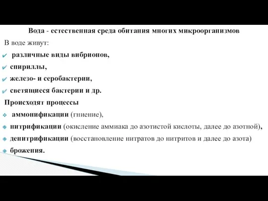 Вода - естественная среда обитания многих микроорганизмов В воде живут: