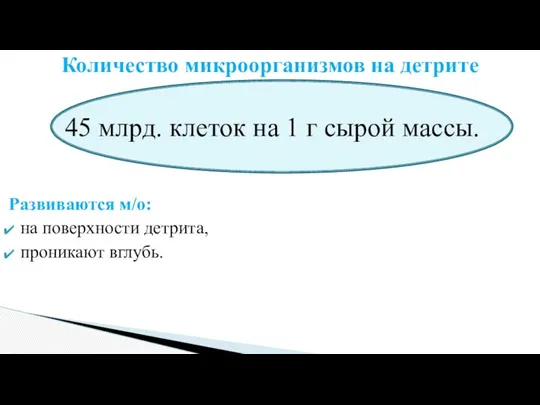 45 млрд. клеток на 1 г сырой массы. Развиваются м/о: