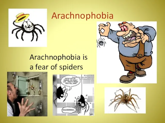 Arachnophobia Arachnophobia is a fear of spiders