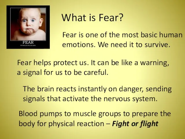 What is Fear? Fear is one of the most basic human emotions. We