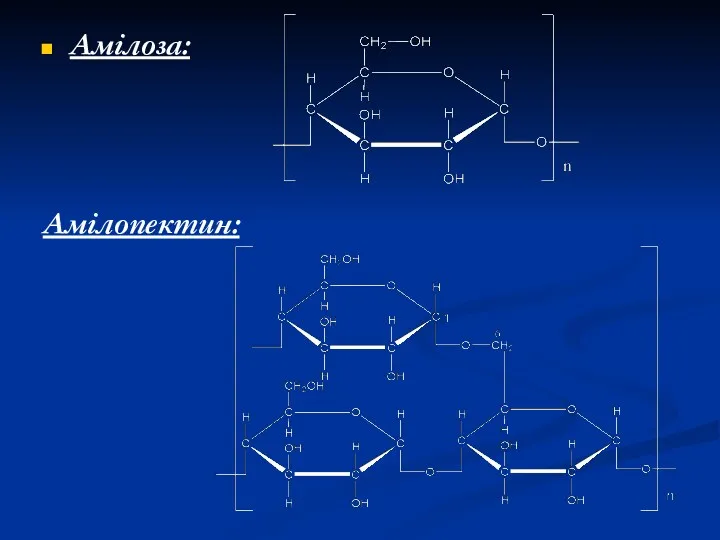 Амілоза: Амілопектин:
