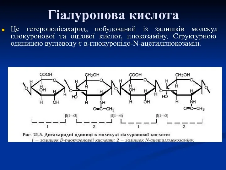 Гіалуронова кислота Це гетерополісахарид, побудований із залишків молекул глюкуронової та