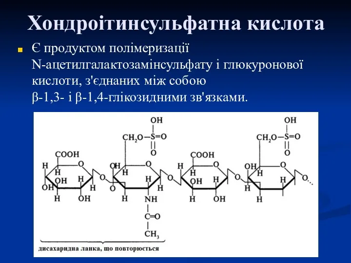 Хондроітинсульфатна кислота Є продуктом полімеризації N-ацетилгалактозамінсульфату і глюкуронової кислоти, з'єднаних між собою β-1,3- і β-1,4-глікозидними зв'язками.