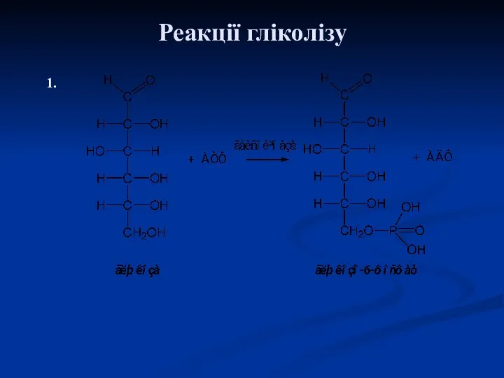 Реакції гліколізу 1.