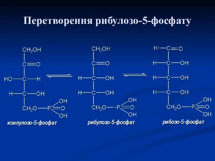 Перетворення рибулозо-5-фосфату