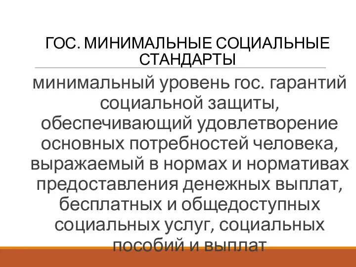 ГОС. МИНИМАЛЬНЫЕ СОЦИАЛЬНЫЕ СТАНДАРТЫ минимальный уровень гос. гарантий социальной защиты,