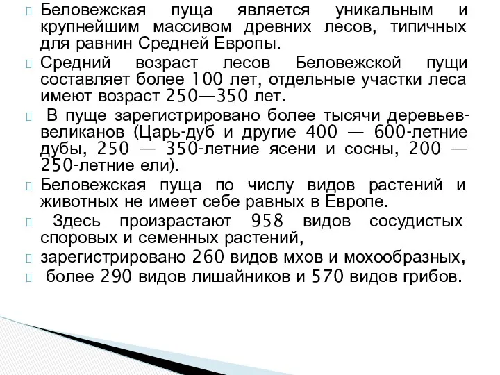 Беловежская пуща является уникальным и крупнейшим массивом древних лесов, типичных