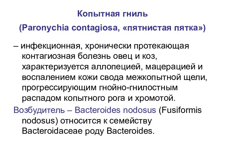 Копытная гниль (Paronychia contagiosa, «пятнистая пятка») – инфекционная, хронически протекающая контагиозная болезнь овец