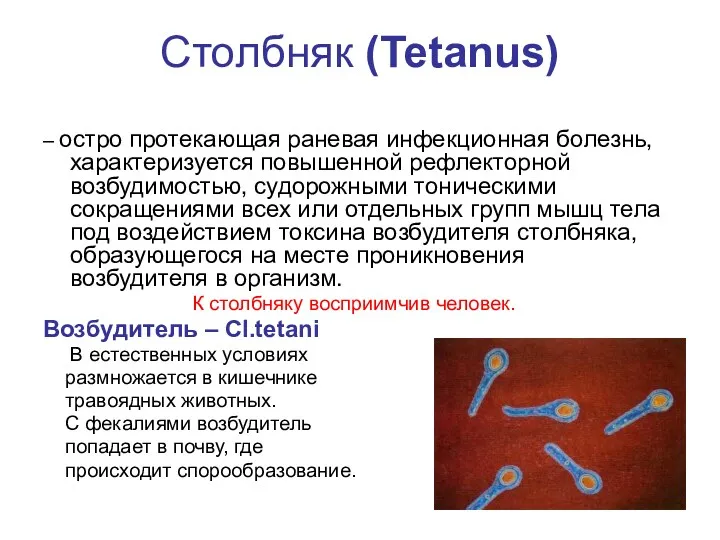 Столбняк (Tetanus) – остро протекающая раневая инфекционная болезнь, характеризуется повышенной рефлекторной возбудимостью, судорожными