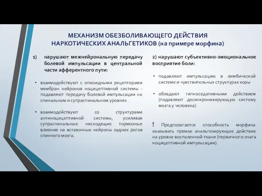 МЕХАНИЗМ ОБЕЗБОЛИВАЮЩЕГО ДЕЙСТВИЯ НАРКОТИЧЕСКИХ АНАЛЬГЕТИКОВ (на примере морфина) нарушают межнейрональную