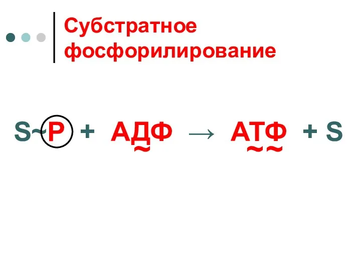 Субстратное фосфорилирование S~P + АДФ → АТФ + S ~ ~ ~