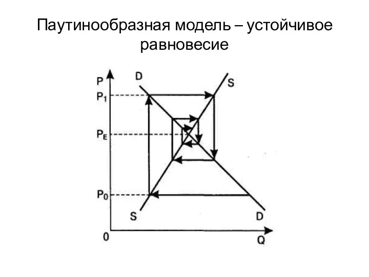 Паутинообразная модель – устойчивое равновесие