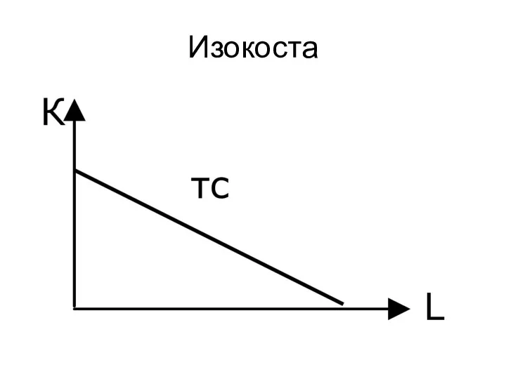 Изокоста