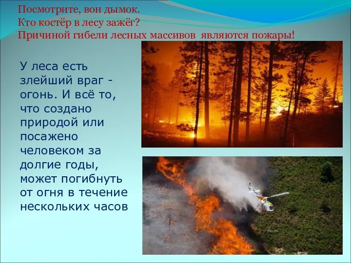 Посмотрите, вон дымок. Кто костёр в лесу зажёг? Причиной гибели лесных массивов являются