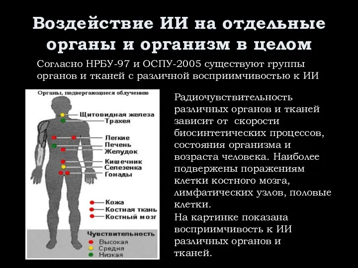 Воздействие ИИ на отдельные органы и организм в целом Радиочувствительность